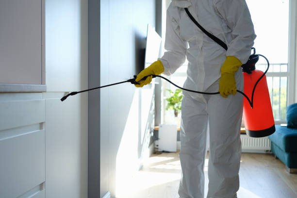 Best Mold Cleaning Services  in Kempner, TX