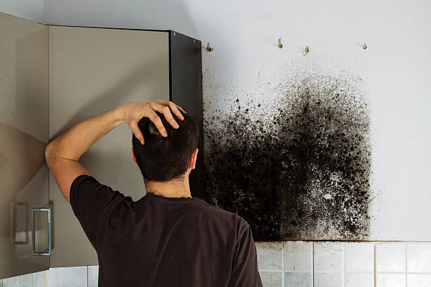 Best Residential Mold Removal  in Kempner, TX